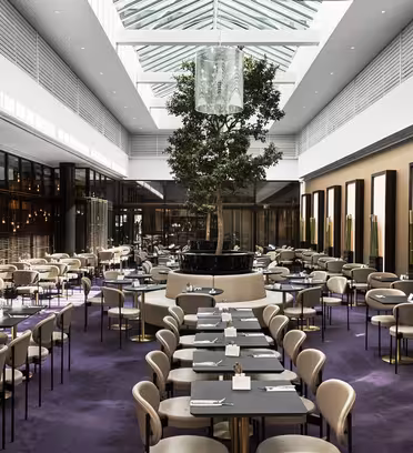 Romslig moderne restaurant med lilla teppe, beige stoler og bord pent arrangert. Et stort sentralt pottetre tilfører et naturlig element. Taket har et takvindu som fyller rommet med naturlig lys.