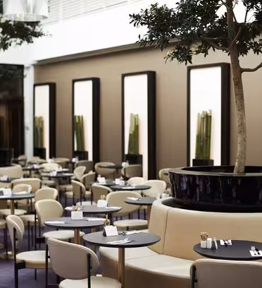 Elegant restaurantinteriør med runde bord og kremstoler. Store plantekasser med trær fungerer som midtpunkt på halvsirkelformede båser. Veggene er foret med speil og høye bambusarrangementer, noe som skaper en elegant og romslig atmosfære.